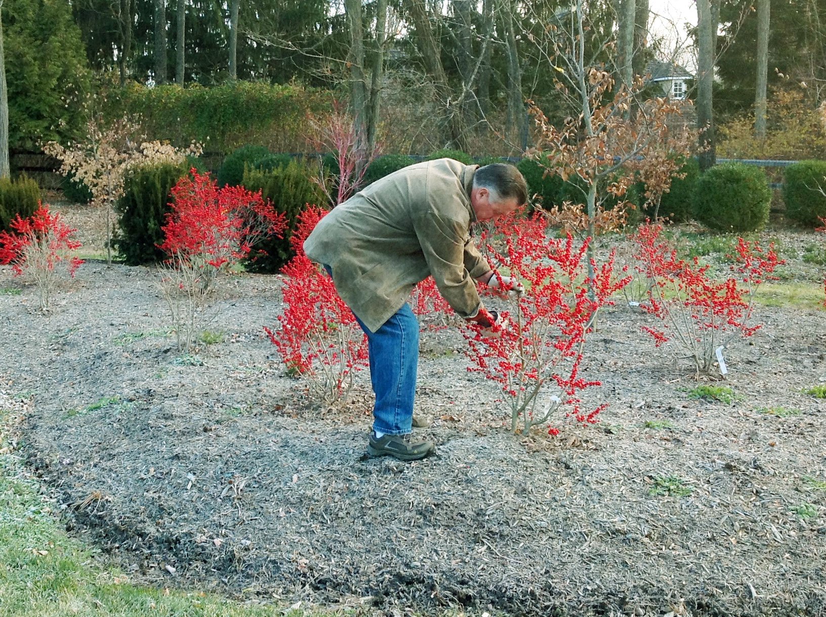 Planting