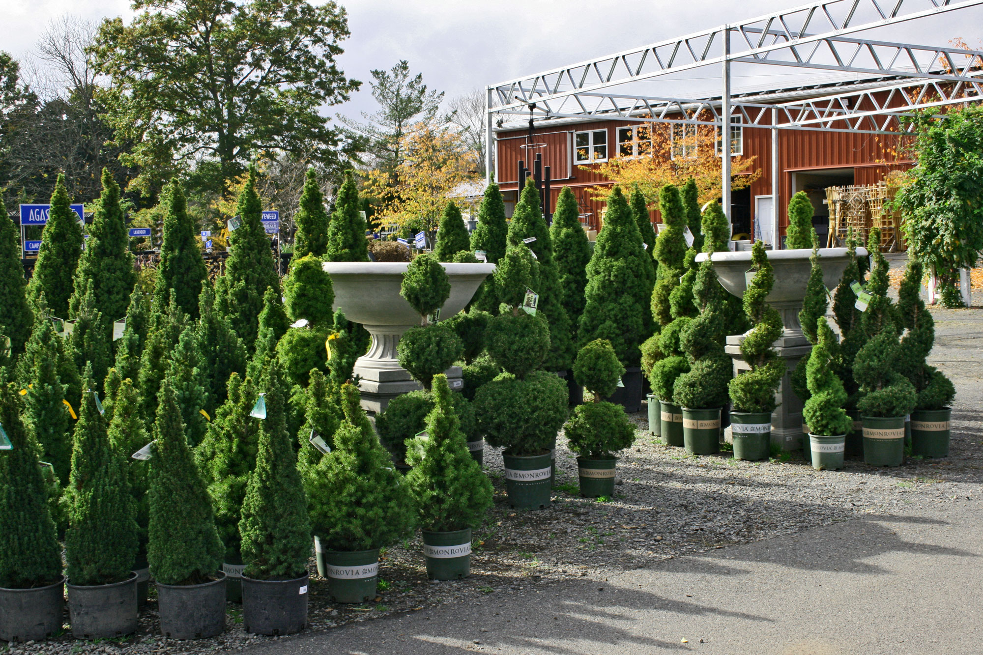 Trees for Delivery Trees for Delivery