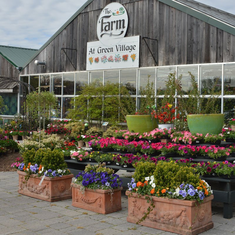 Pottery and Containers for Plants at The Farm at Green Village