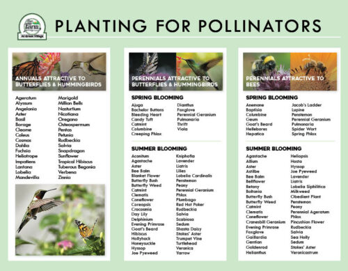 Pollinators Plan Guide to Planting for Pollinators - The Farm at Green Village