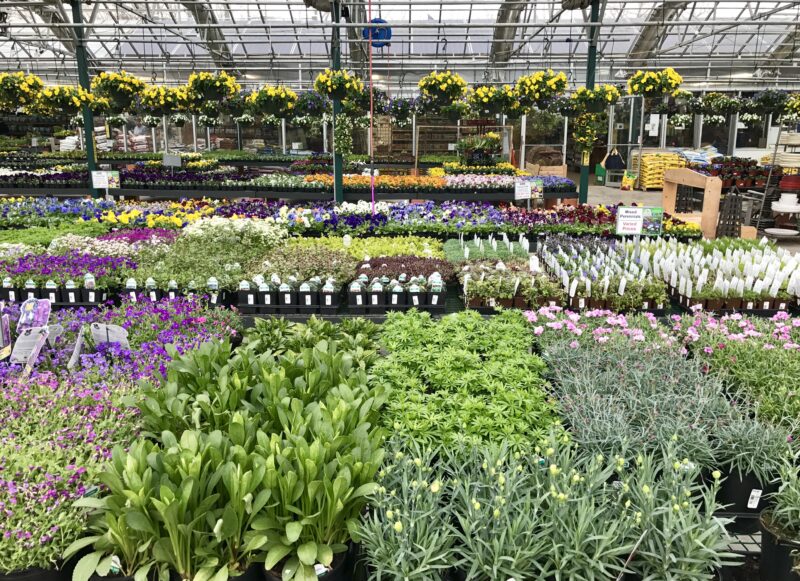 Learn about The Farm at Green Village - a complete gardener's destination