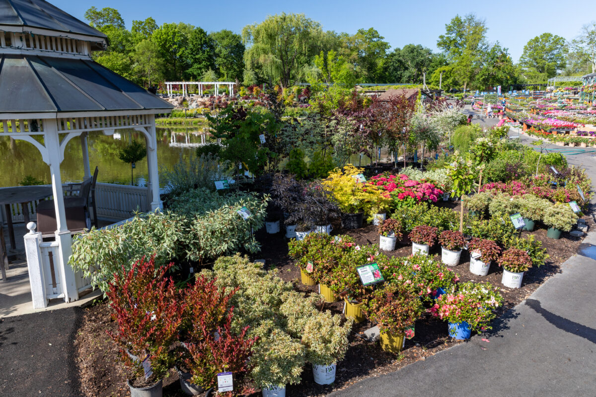 Learn about The Farm at Green Village - a complete gardener's destination