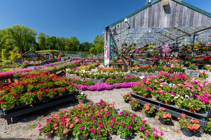 Learn about The Farm at Green Village - a complete gardener's destination