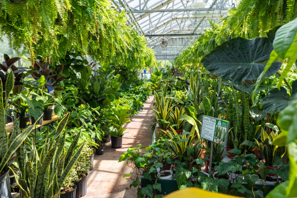 Learn about The Farm at Green Village - a complete gardener's destination