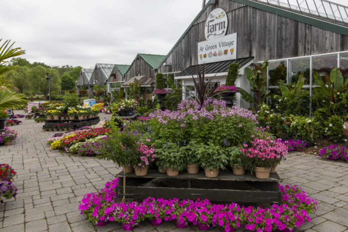 Learn about The Farm at Green Village - a complete gardener's destination